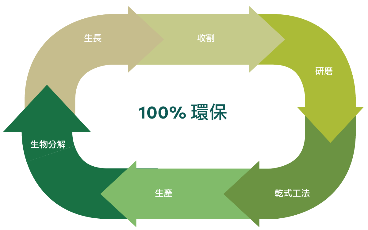 竹子加工-生命週期